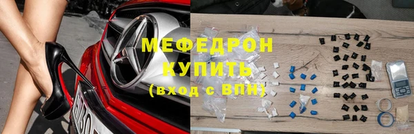 хмурый Тайга