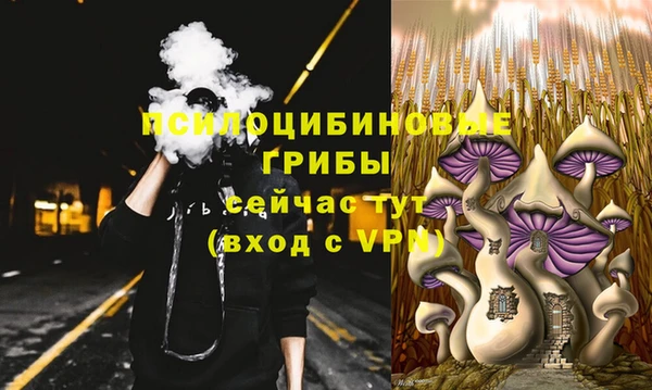 мдпв Армянск