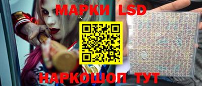 хмурый Шелехов