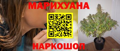 хмурый Шелехов