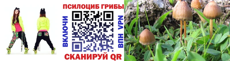 Галлюциногенные грибы мицелий  Курган 