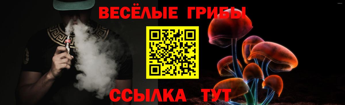 Псилоцибиновые грибы Psilocybine cubensis  Вход с VPN  как найти   Курган 