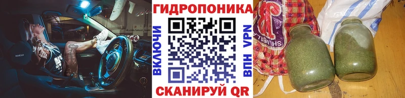 Бошки Шишки гибрид  Курган 